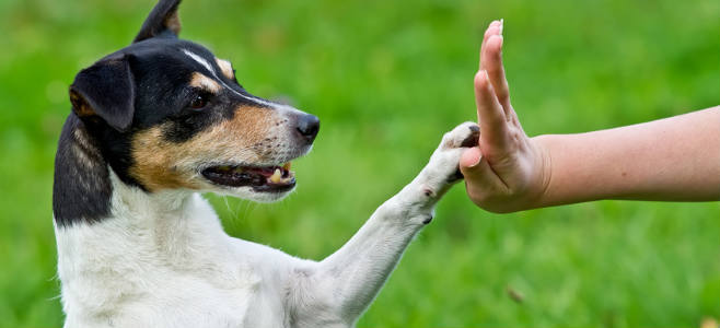 Conférence / Débat