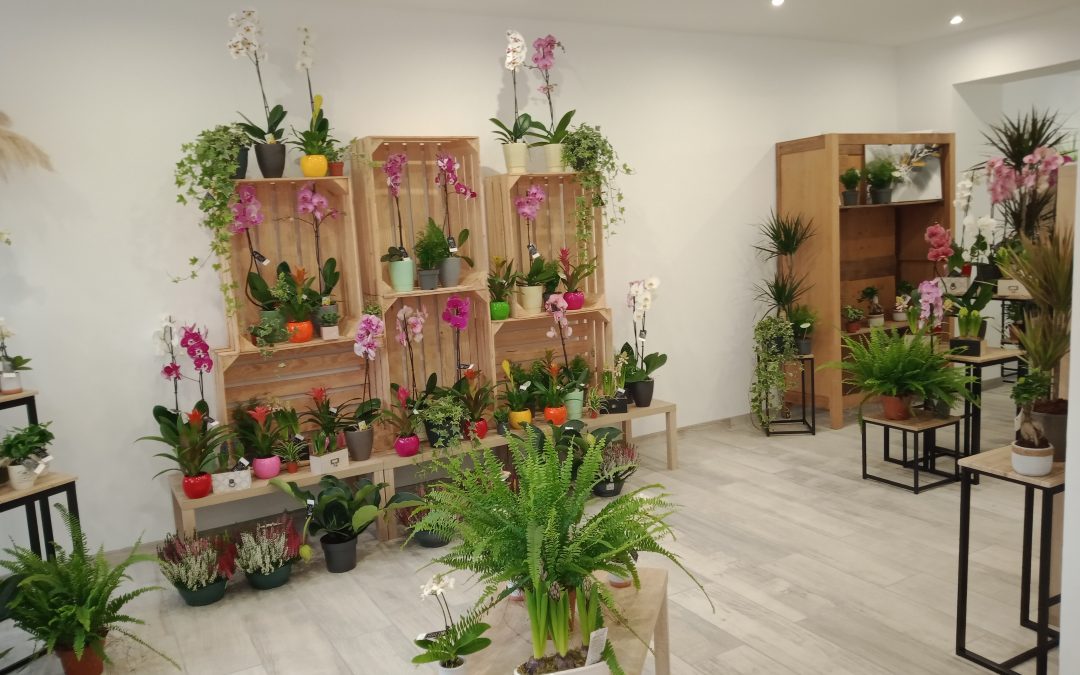 Ouverture de “La Galerie des Fleurs”