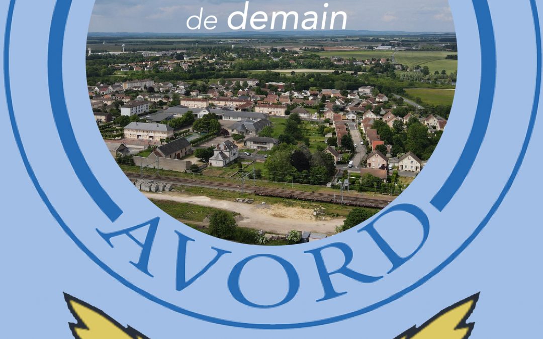 Questionnaire Petites villes de demain